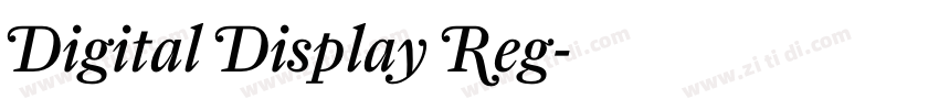 Digital Display Reg字体转换